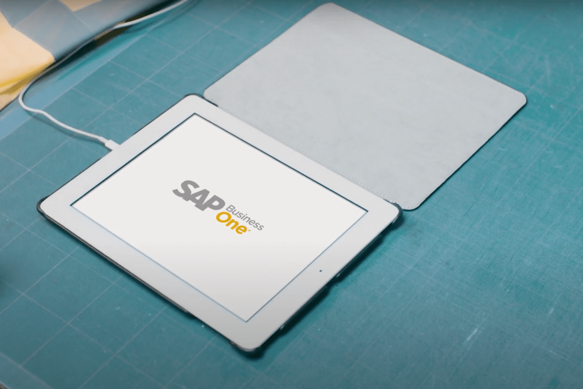 Featured image for “Manage your Business | SAP Business One | Itegrity AG”