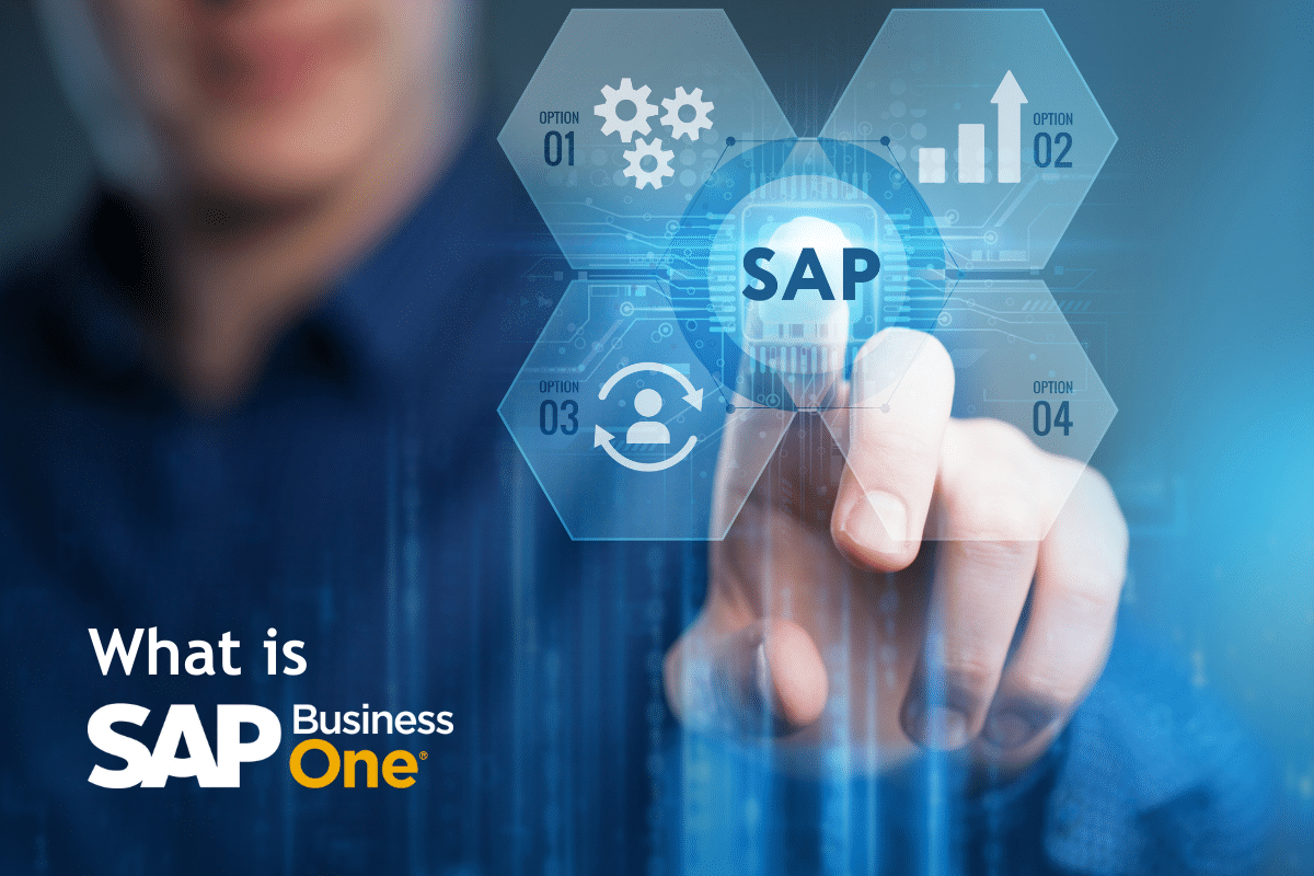 Featured image for “What is SAP Business One | Itegrity AG”